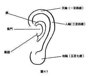 耳垂有線面相